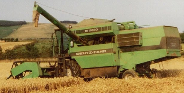 Wheat harvest in September